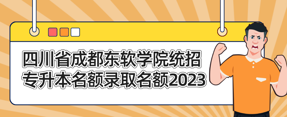 四川省成都东软学院统招专升本名额录取名额2023