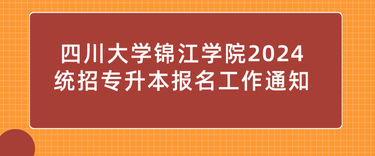 四川大学锦江学院2024统招专升本报名工作通知
